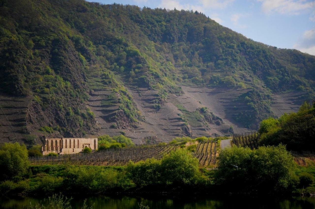 Ferienhaus Am Kloster Stuben Bremm Dış mekan fotoğraf